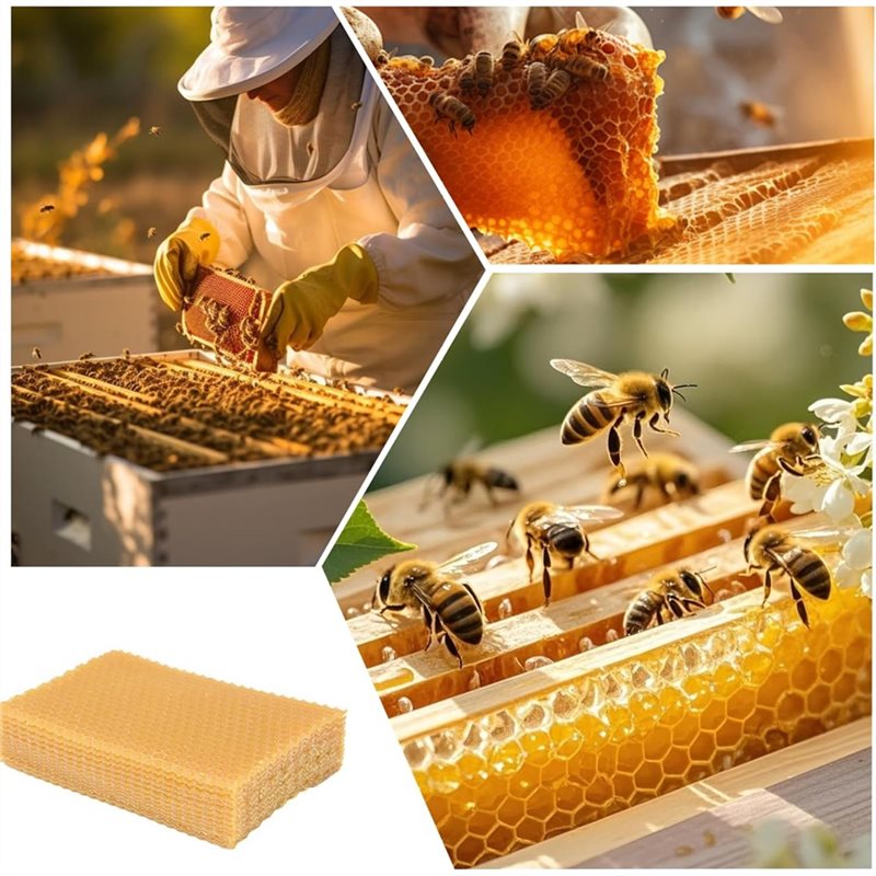 AT43-DIY Craft For Candle Maki - Candle Supplies Beeswax ulasan dan harga