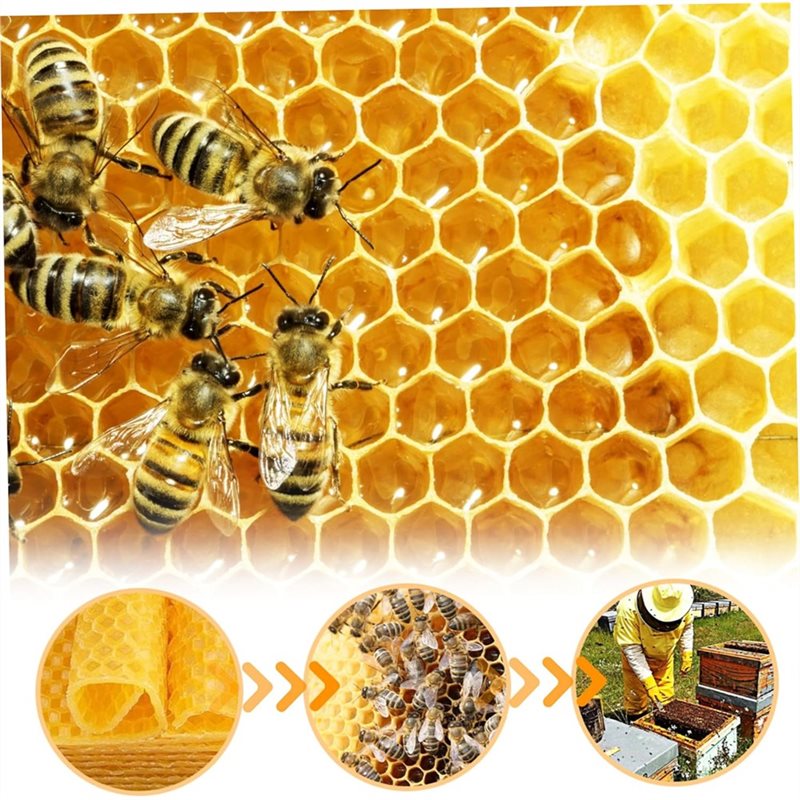 AT43-DIY Craft For Candle Maki - Candle Supplies Beeswax ulasan dan harga