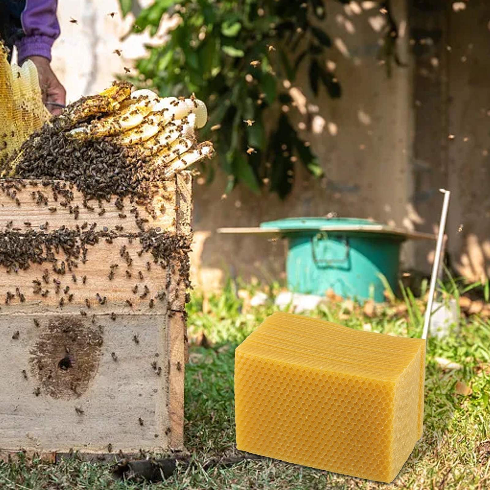 Beeswax Sheets for Beehive Fou - Candle Supplies Beeswax ulasan dan harga
