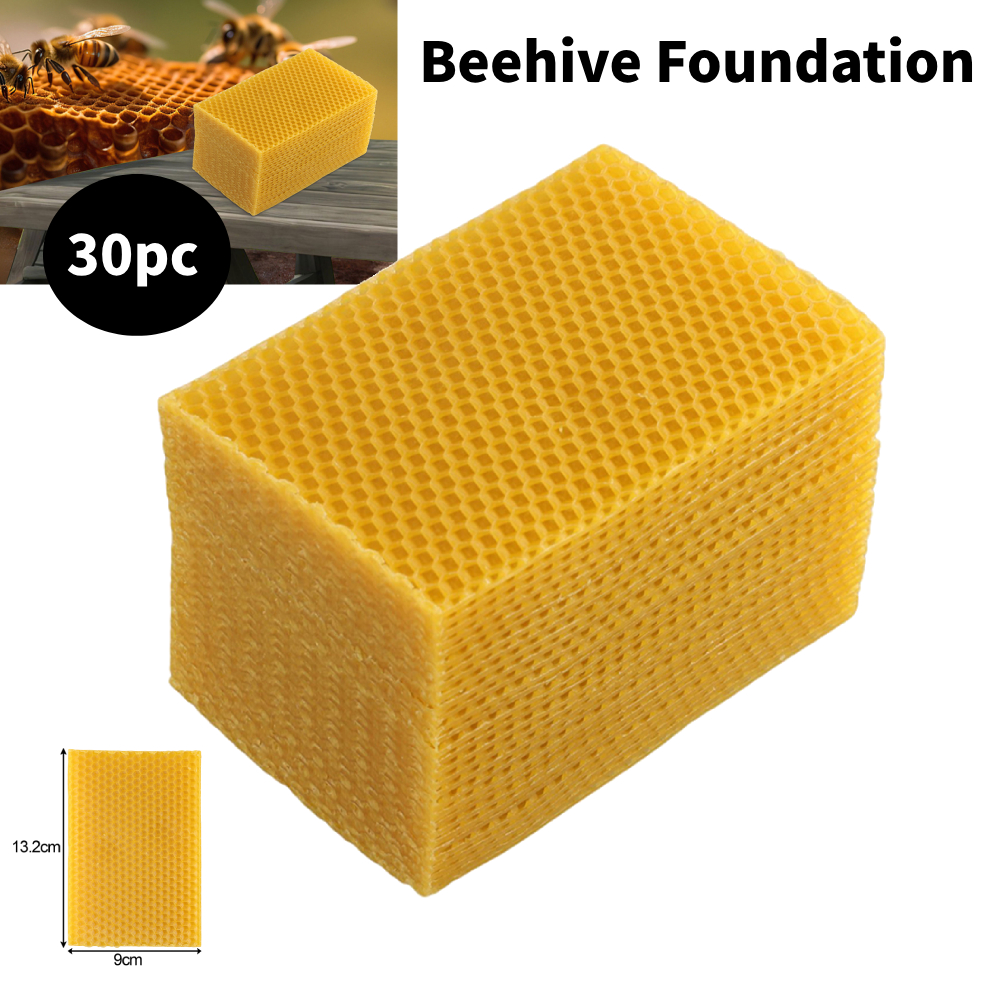 30Pcs Natural Beeswax Sheets B - Beeswax Sheet Roll ulasan dan harga