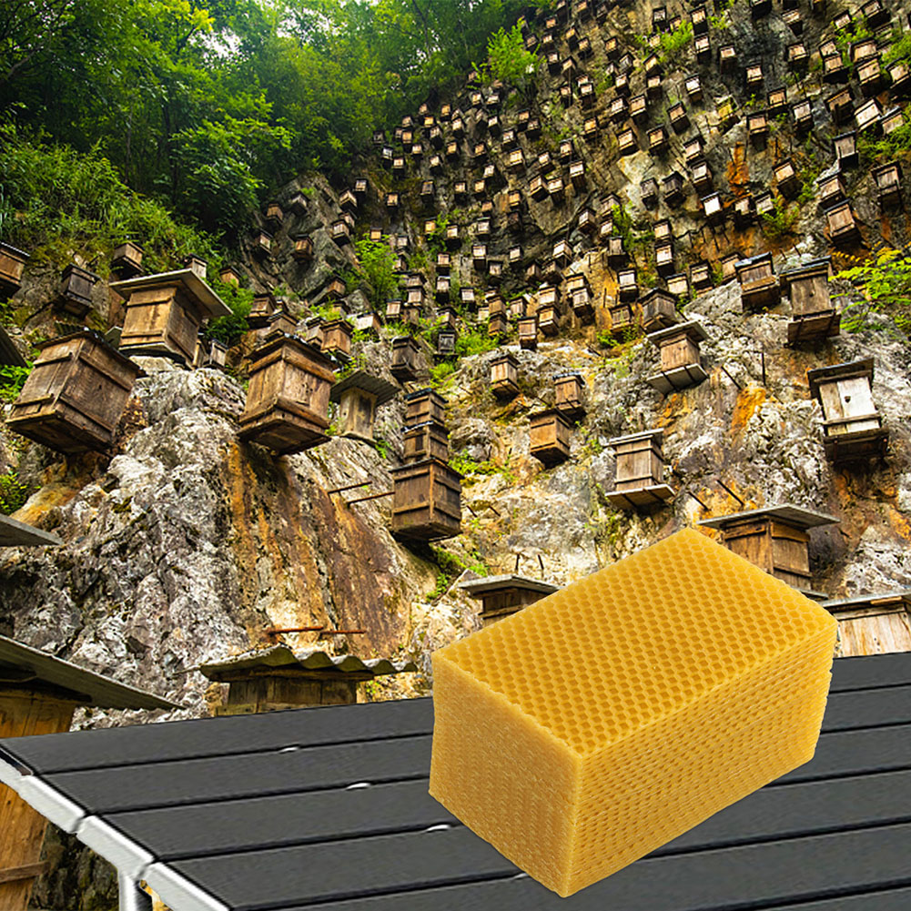 30Pcs Natural Beeswax Sheets B - Beeswax Sheet Roll ulasan dan harga